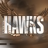 Hawks Roleplay v1 #countytheme