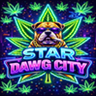 STARDAWG CITY