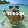 Free Room