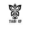Tiani RP V2 | DEVELOPMENT