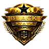 Black State RP