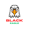 🦅 | BLACK ✦ EAGLE ✦ ROLEPLAY 🦅 | V6.0 | 🚗 VIP Cars | 💼 Realistic Jobs | 👕 Custom Clothes | 🚫 Anti-Cheat | 🛡️ Anti-DDOS | ⚙️ Smooth FPS