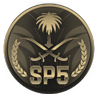 SP5 | مود الشرطة   [discord.gg/SP5]