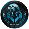 L1 police mod
