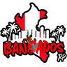 👑 BANEADOS RP  👑 |  🚔 PNP | 🚑 EMS |  MECANICOS🔧 |  STAFF ACTIVO | 💰 ORG. CRIMINALES 🔫 | 👠 CUCARDAS | 👕 ROPA PERSONALIZADA 👗 | 💊 DROGAS | 💰MAFIAS | 🔔 EVENTOS  | 👅 SIN WHITELIST  | SERVIDOR PERUANO