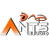 Ants Studio Design By Perzii